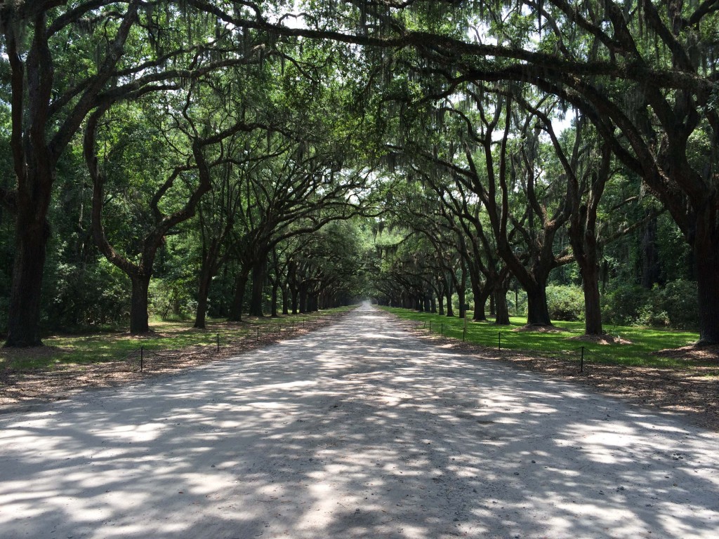Sights to See. Wormsloe Historic Site